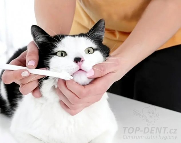 Zubní kartáček malý pes / kočka s rukojetí, 1 ks