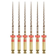 Dentsply Maillefer ProTaper Gold RA F2, 25 mm, 6ks