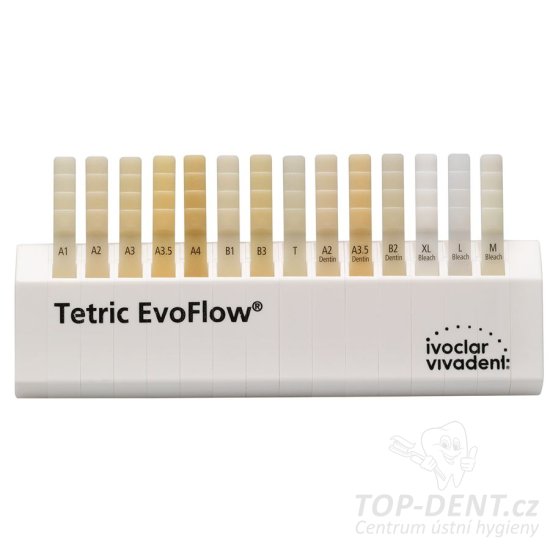 Ivoclar Tetric EvoFlow DENTINE stříkačka 2g (A2)