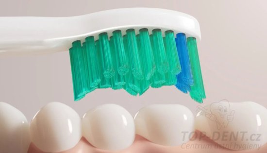 Philips Sonicare ProResults Standard C1 HX6018/87, 8ks