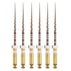 Dentsply Maillefer Protaper Gold S2, 25 mm (biele), 6ks