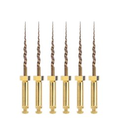 Kořenové nástroje Dentsply Maillefer ProTaper Gold RA SX 19mm, 6ks