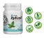 Miradent Xylitol Drops pastilky s xylitolem MINT, 26ks (60g)