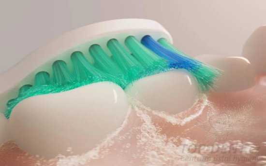 Philips Sonicare ProResults Standard C1 HX6018/87, 8ks